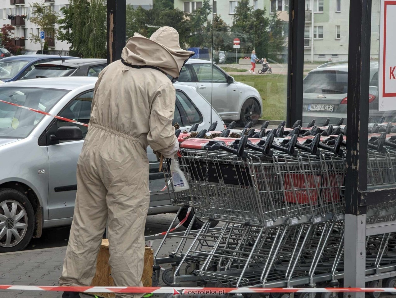 Pszczeli rój przed Galerią Bursztynową [13.06.2024] - zdjęcie #3 - eOstroleka.pl