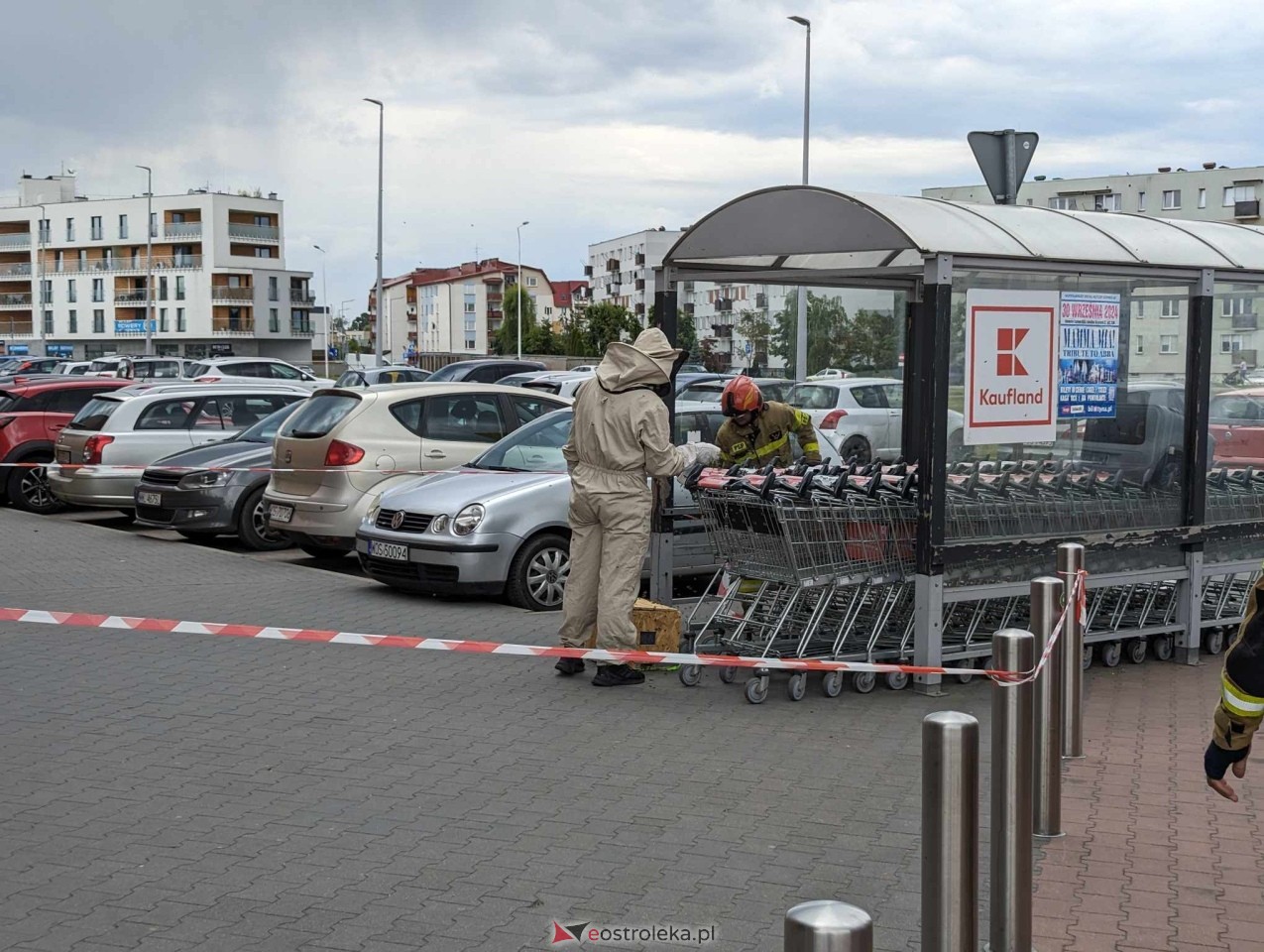Pszczeli rój przed Galerią Bursztynową [13.06.2024] - zdjęcie #1 - eOstroleka.pl