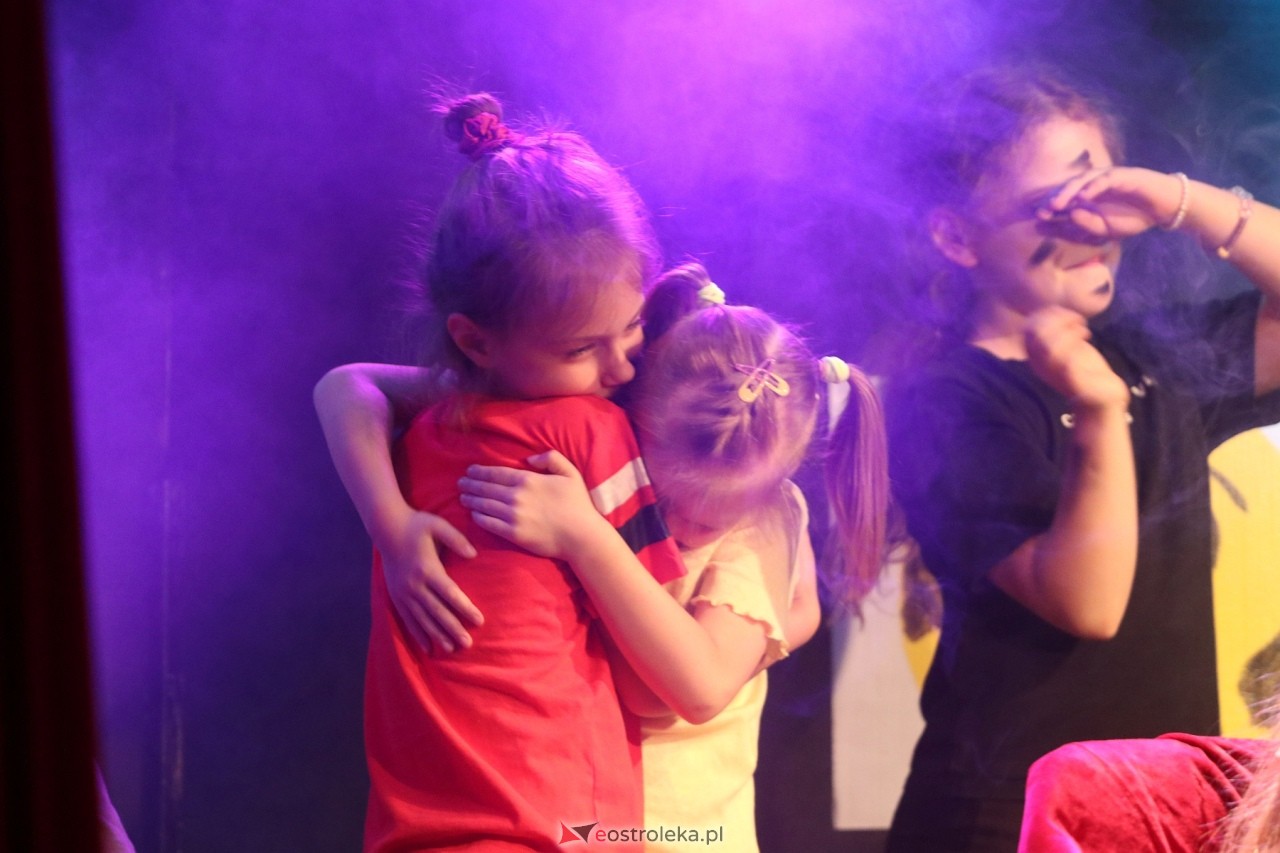 Spektakl PORADY WRÓŻKI DOBREJ RADY [14.06.2024] - zdjęcie #21 - eOstroleka.pl