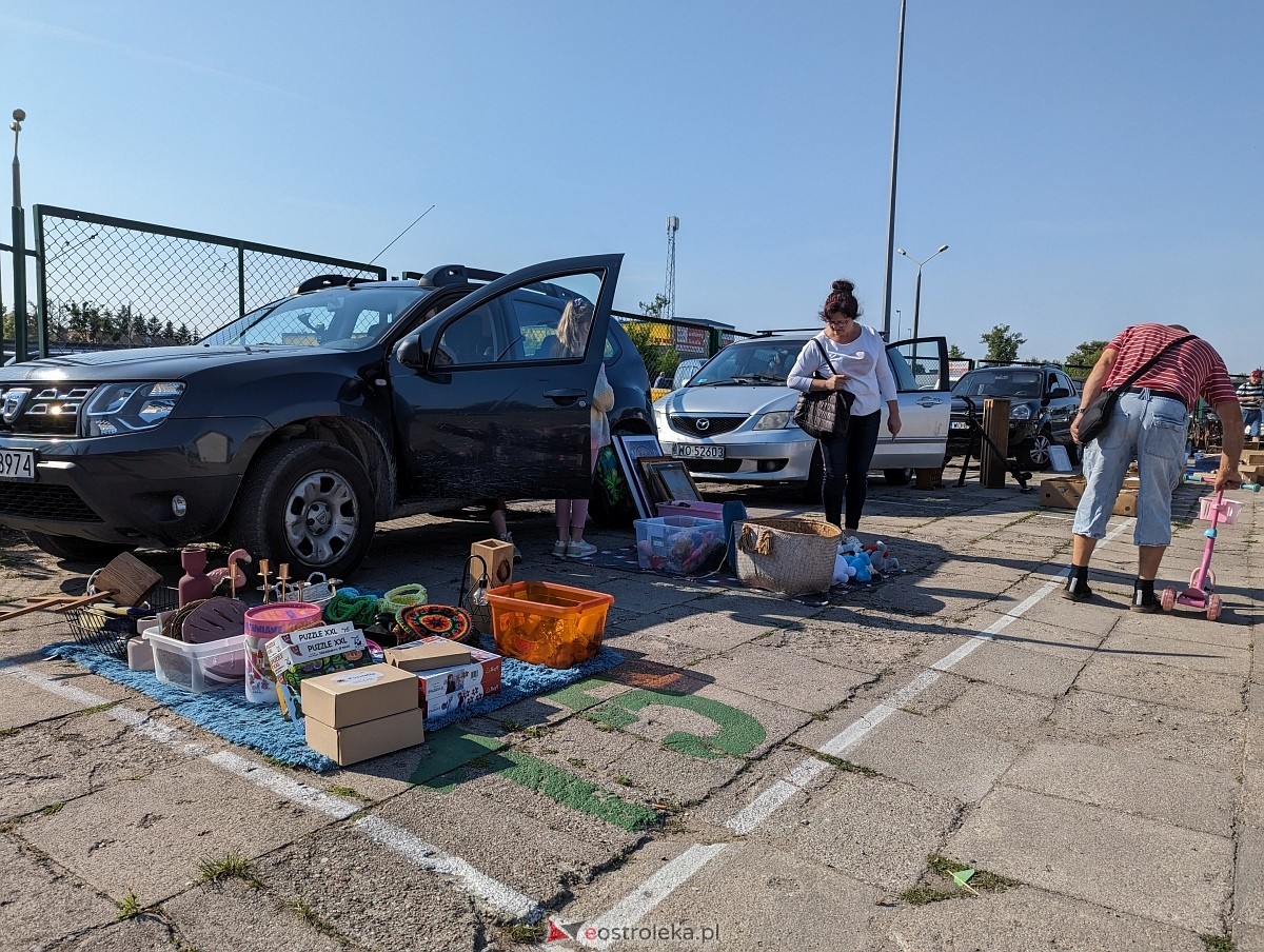 Pchli Targ w Ostrołęce 15.06.2024 - zdjęcie #58 - eOstroleka.pl
