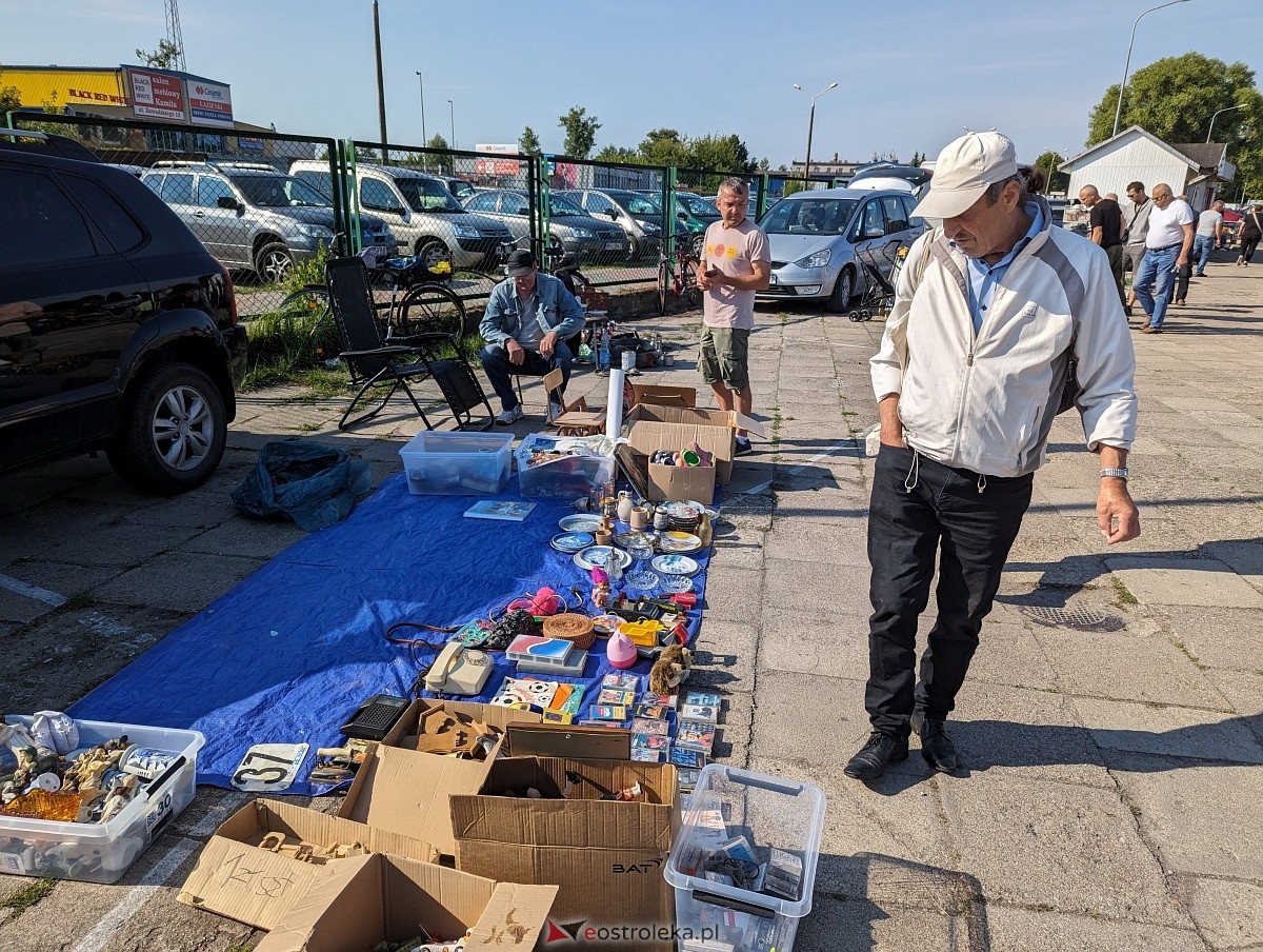 Pchli Targ w Ostrołęce 15.06.2024 - zdjęcie #53 - eOstroleka.pl