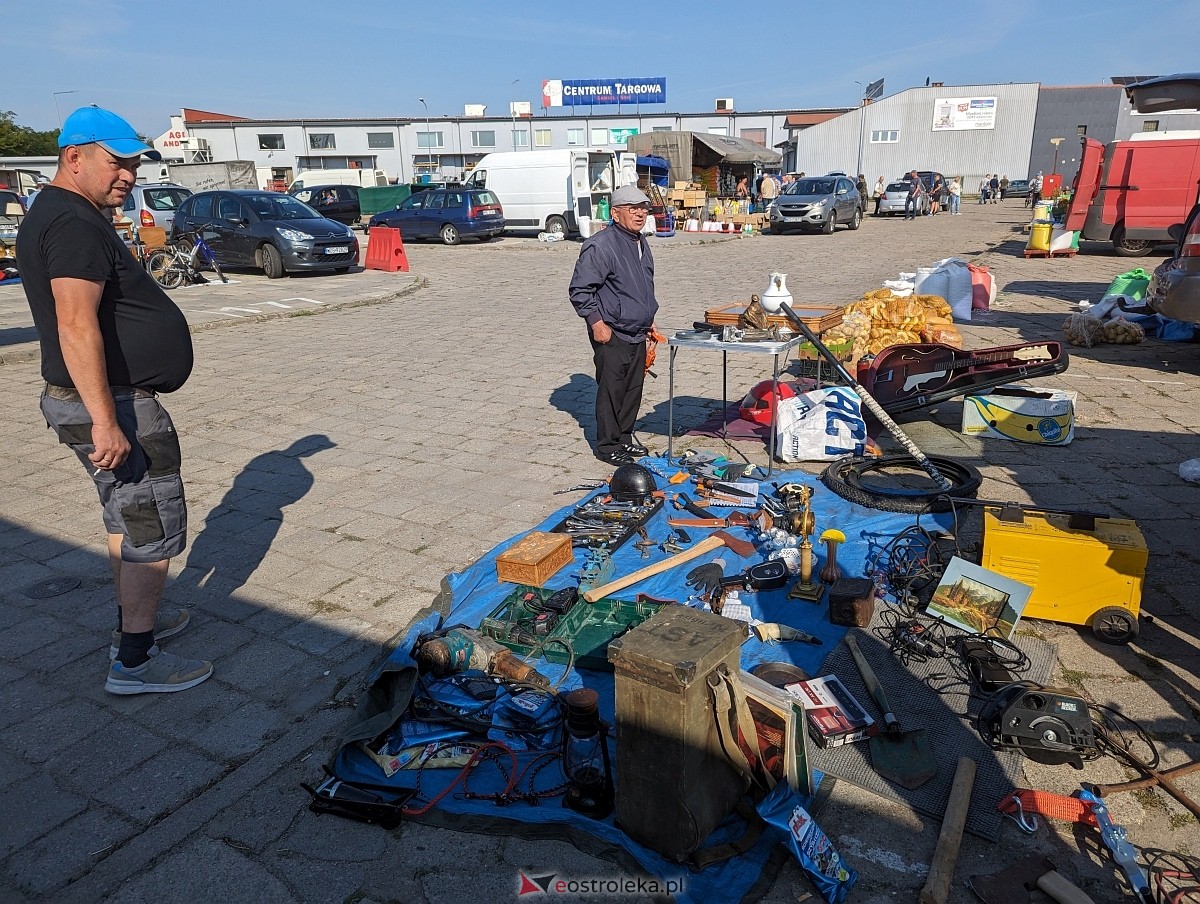 Pchli Targ w Ostrołęce 15.06.2024 - zdjęcie #41 - eOstroleka.pl