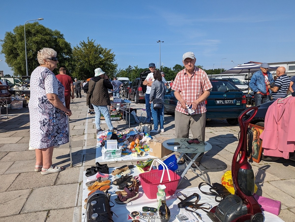 Pchli Targ w Ostrołęce 15.06.2024 - zdjęcie #40 - eOstroleka.pl