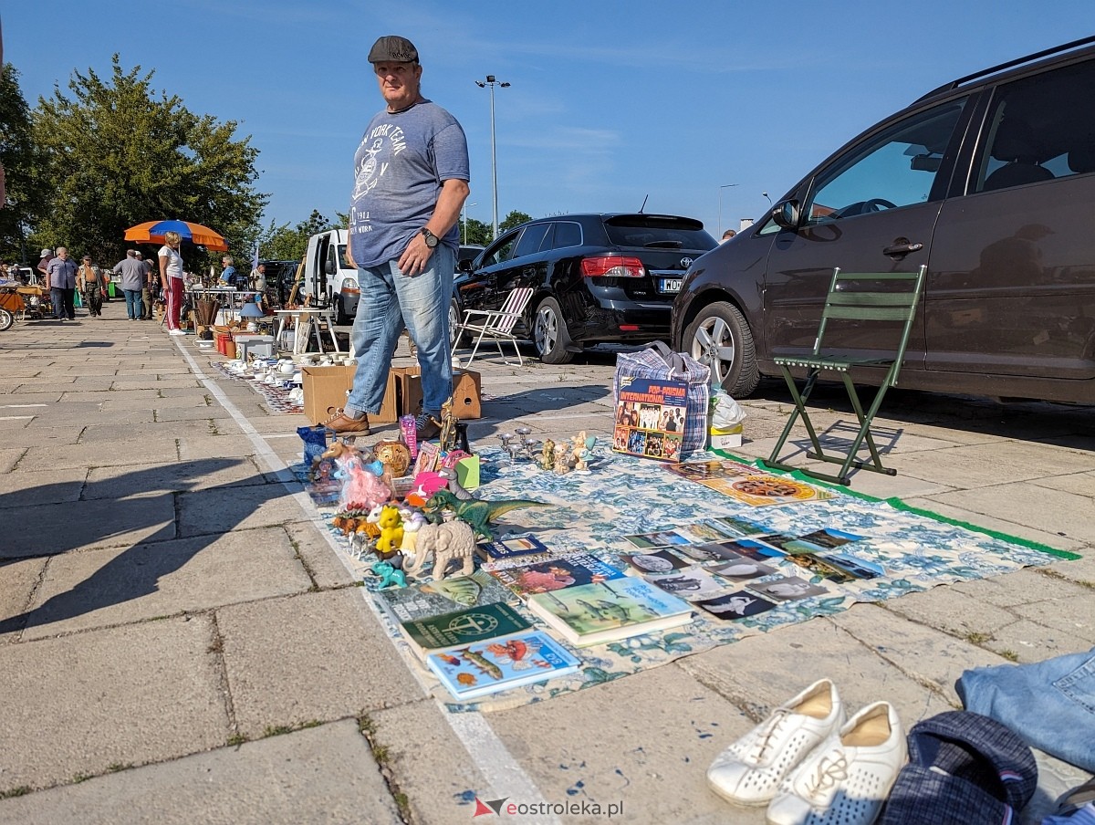 Pchli Targ w Ostrołęce 15.06.2024 - zdjęcie #38 - eOstroleka.pl