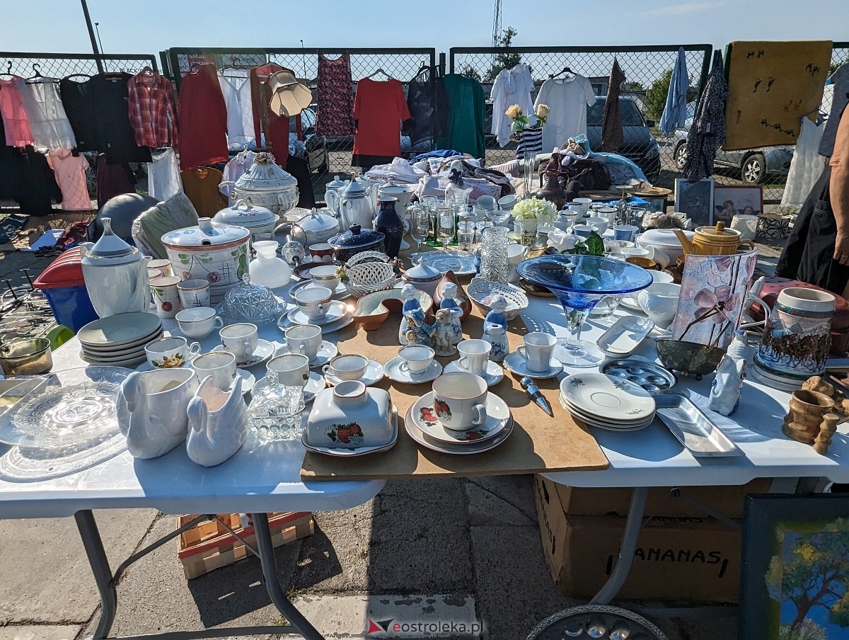 Pchli Targ w Ostrołęce 15.06.2024 - zdjęcie #36 - eOstroleka.pl