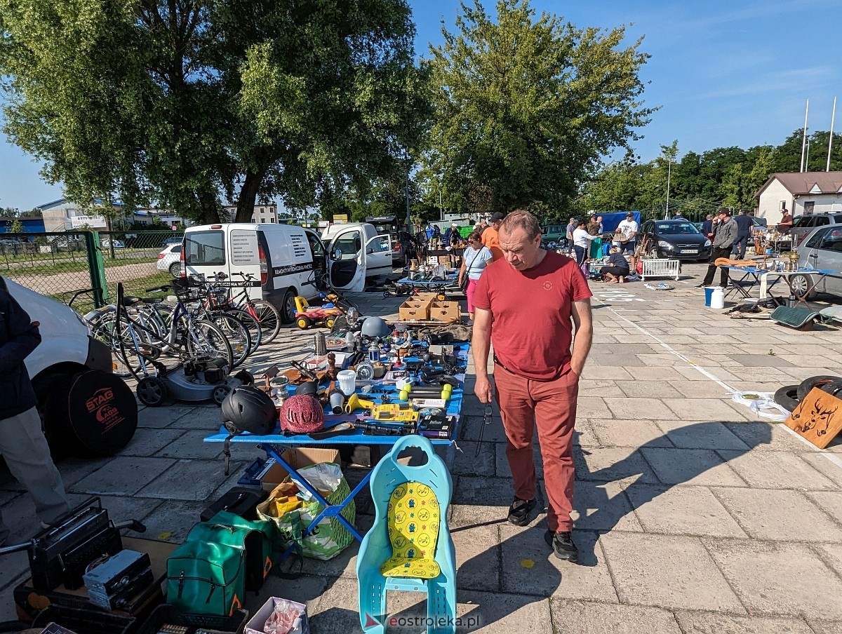 Pchli Targ w Ostrołęce 15.06.2024 - zdjęcie #28 - eOstroleka.pl