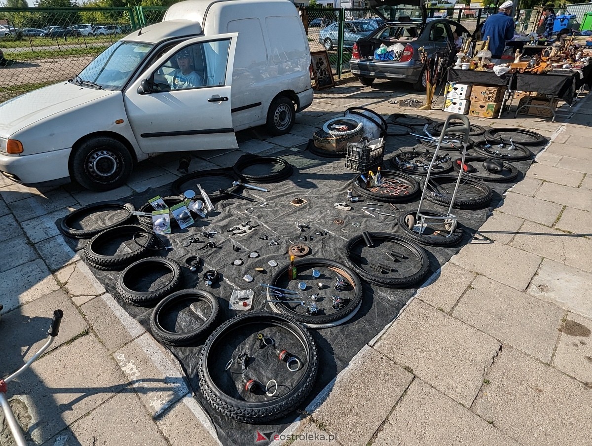 Pchli Targ w Ostrołęce 15.06.2024 - zdjęcie #26 - eOstroleka.pl