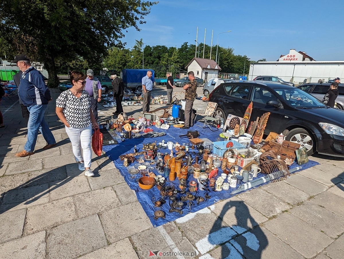Pchli Targ w Ostrołęce 15.06.2024 - zdjęcie #25 - eOstroleka.pl