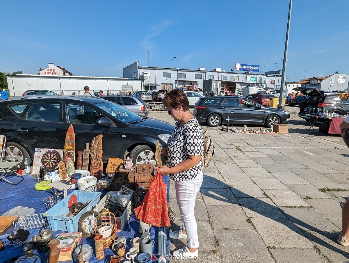 Pchli Targ w Ostrołęce 15.06.2024 - zdjęcie #22 - eOstroleka.pl
