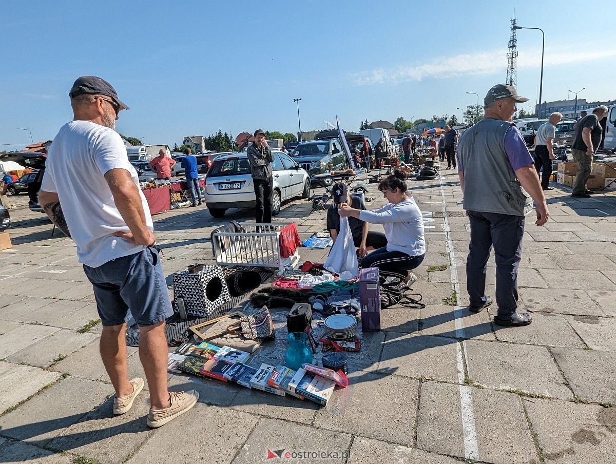 Pchli Targ w Ostrołęce 15.06.2024 - zdjęcie #21 - eOstroleka.pl