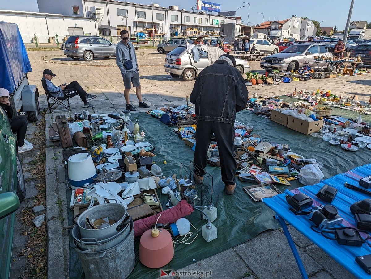 Pchli Targ w Ostrołęce 15.06.2024 - zdjęcie #17 - eOstroleka.pl