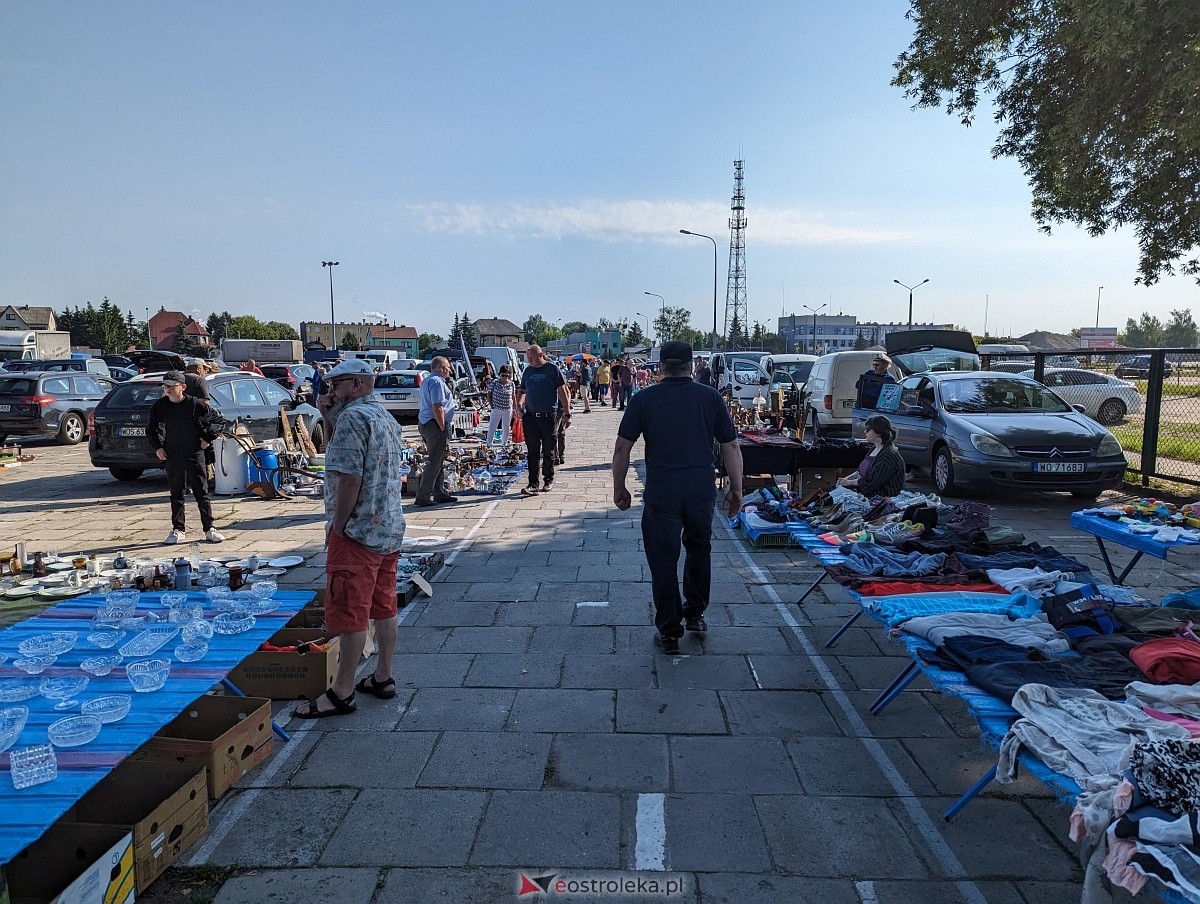 Pchli Targ w Ostrołęce 15.06.2024 - zdjęcie #16 - eOstroleka.pl