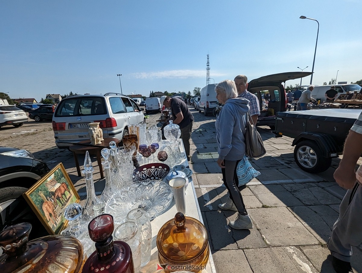 Pchli Targ w Ostrołęce 15.06.2024 - zdjęcie #12 - eOstroleka.pl