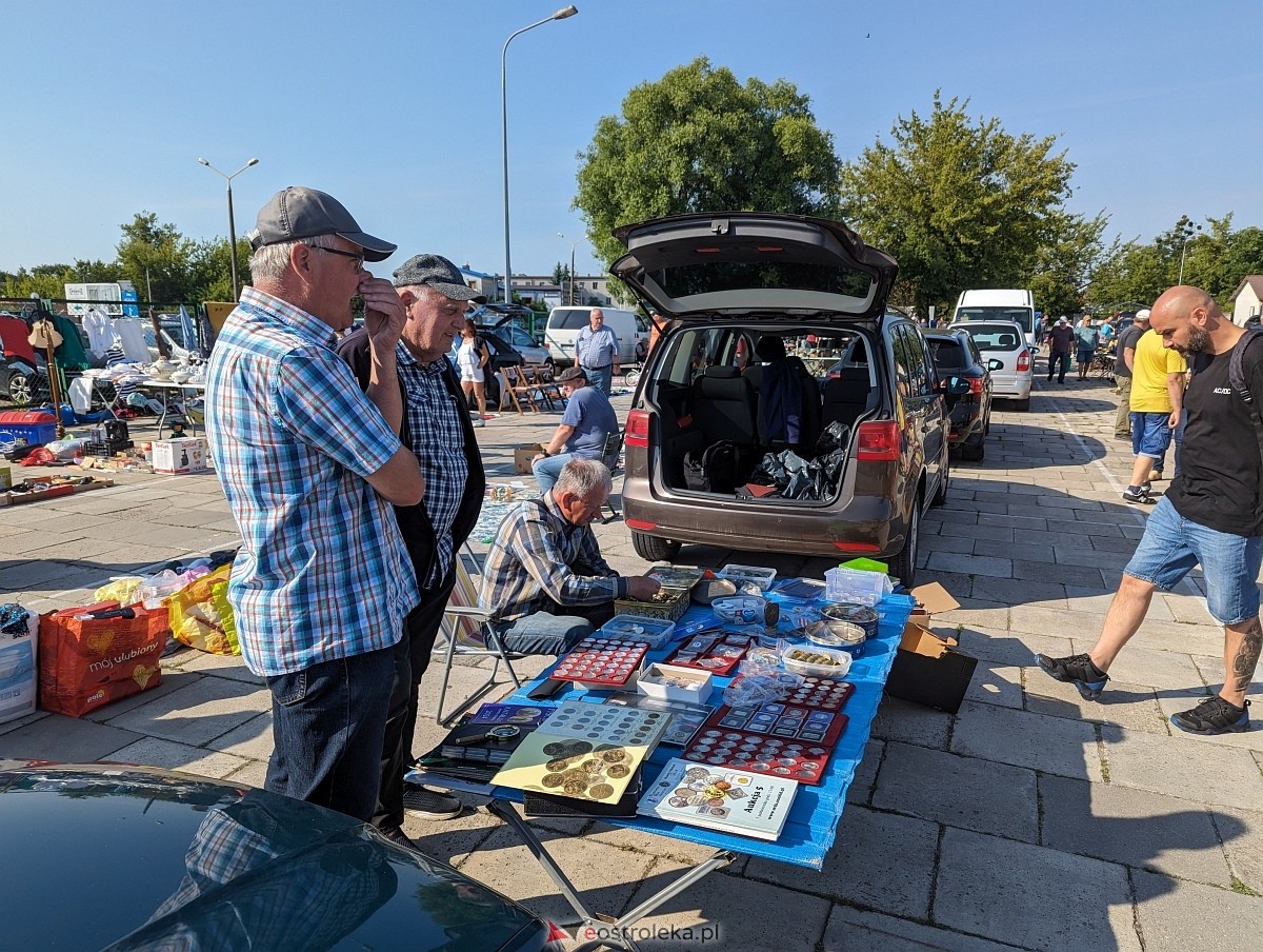 Pchli Targ w Ostrołęce 15.06.2024 - zdjęcie #5 - eOstroleka.pl