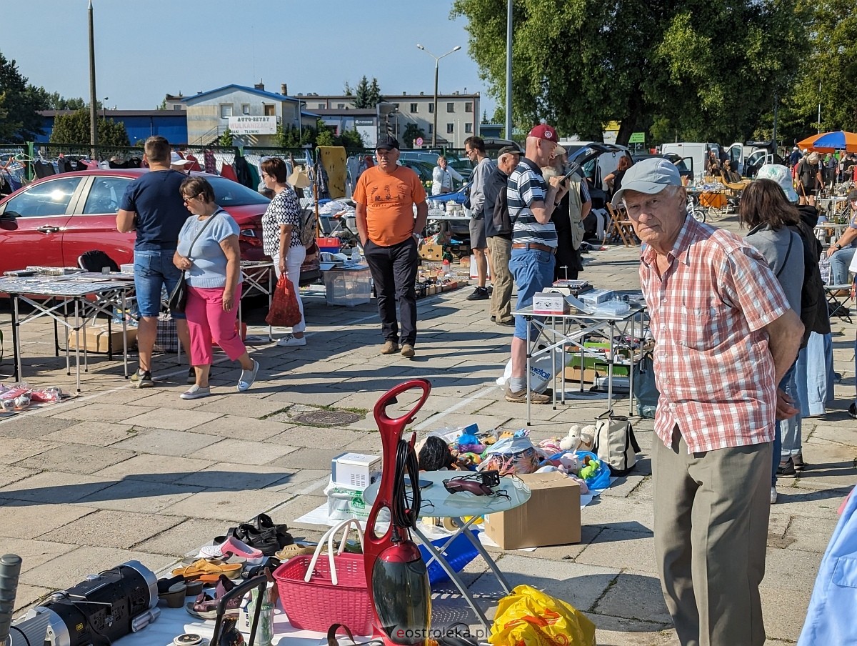 Pchli Targ w Ostrołęce 15.06.2024 - zdjęcie #1 - eOstroleka.pl