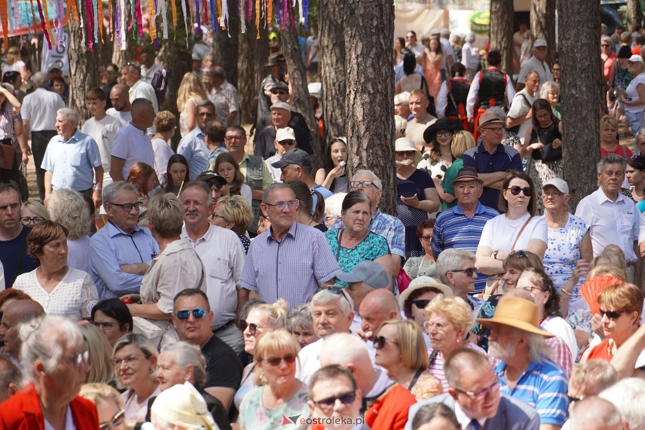 Wesele Kurpiowskie 2024 [16.06.2024] - zdjęcie #118 - eOstroleka.pl