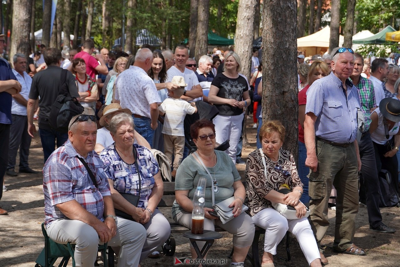 Wesele Kurpiowskie 2024 [16.06.2024] - zdjęcie #22 - eOstroleka.pl