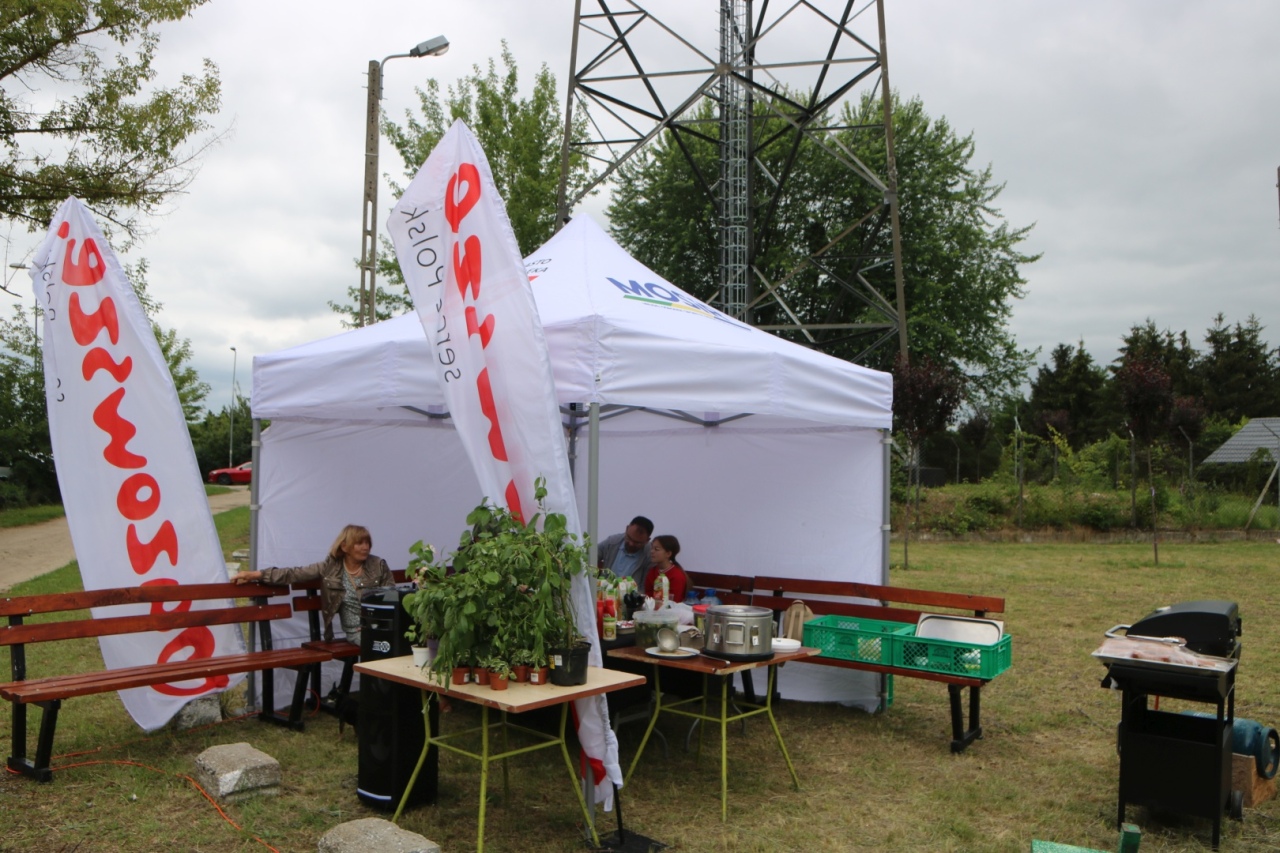 Nasiona za Uśmiech: Ogrodowa Kultura - 2. Edycja w Ostrołęce [23.06.24] - zdjęcie #9 - eOstroleka.pl