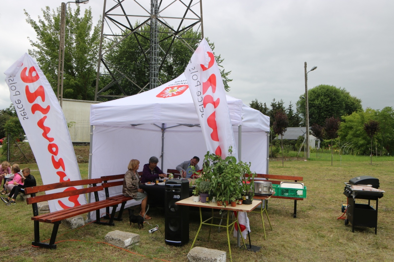 Nasiona za Uśmiech: Ogrodowa Kultura - 2. Edycja w Ostrołęce [23.06.24] - zdjęcie #8 - eOstroleka.pl
