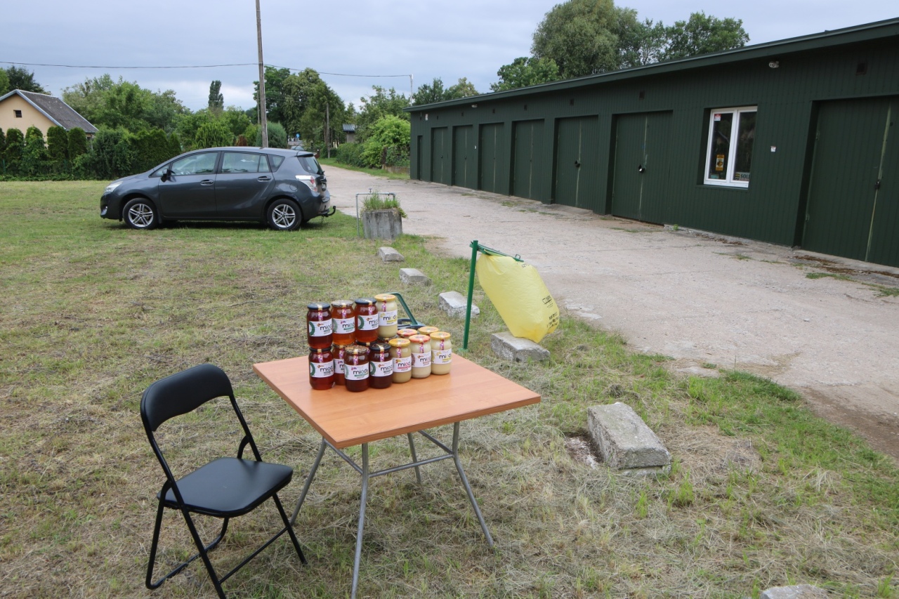 Nasiona za Uśmiech: Ogrodowa Kultura - 2. Edycja w Ostrołęce [23.06.24] - zdjęcie #6 - eOstroleka.pl