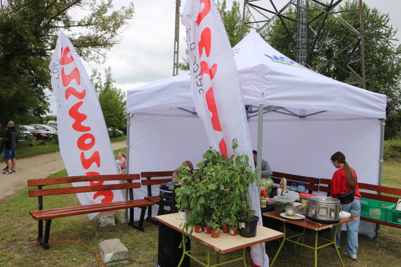 Nasiona za Uśmiech: Ogrodowa Kultura - 2. Edycja w Ostrołęce [23.06.24] - zdjęcie #5 - eOstroleka.pl