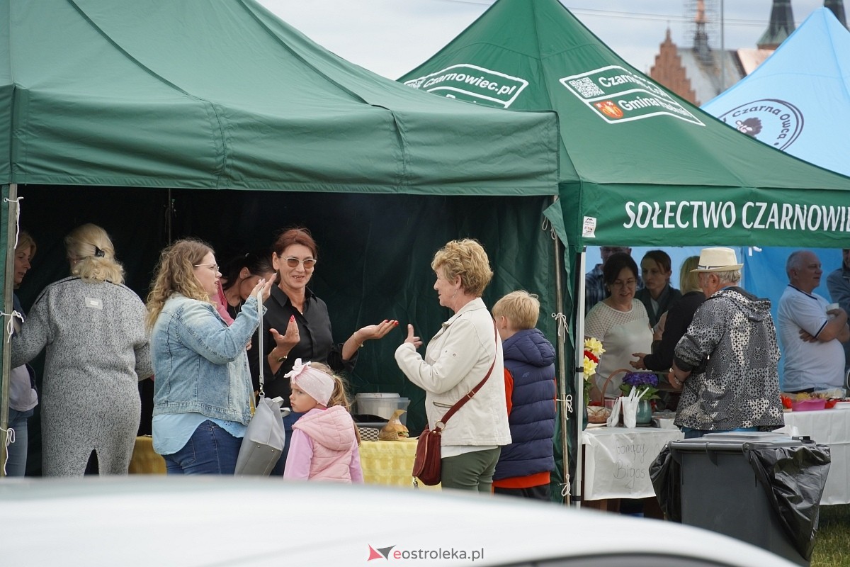 Kabaret Pod Wyrwigroszem. Rzekuń wita lato 2024  - zdjęcie #16 - eOstroleka.pl