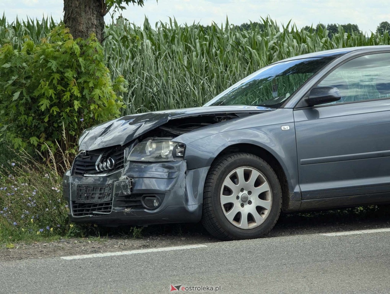 Kolizja na DK 53 w Dylewie [04.07.2024] - zdjęcie #1 - eOstroleka.pl