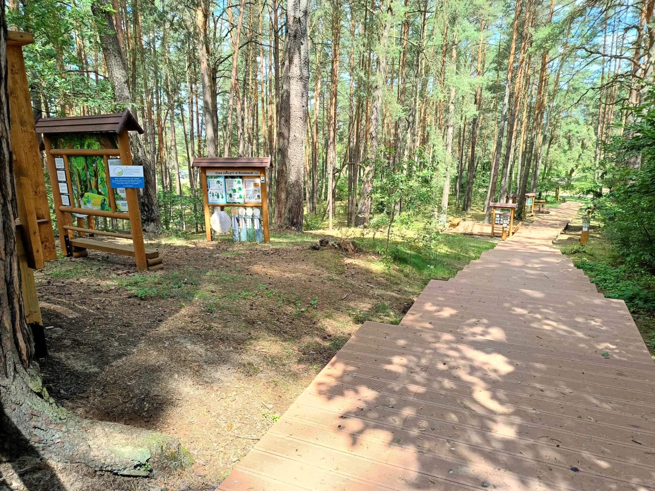 Kamianka zyskała nowe oblicze. Miejsce integracji i aktywności dla mieszkańców gotowe [05.07.2024] - zdjęcie #7 - eOstroleka.pl