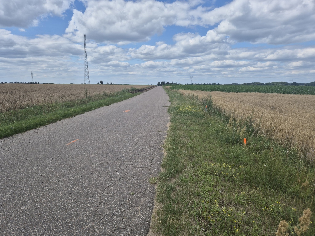 Nowa nawierzchnia na trasie Grodzisk - Janki [08.07.2024] - zdjęcie #16 - eOstroleka.pl