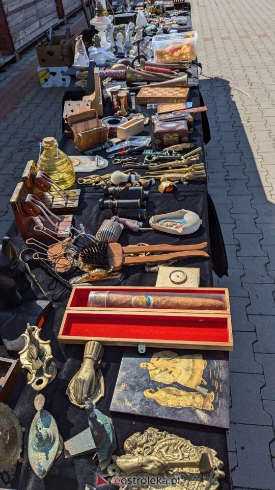 Targi Staroci i Rozmaitości w Goworowie [13.07.2023] - zdjęcie #35 - eOstroleka.pl