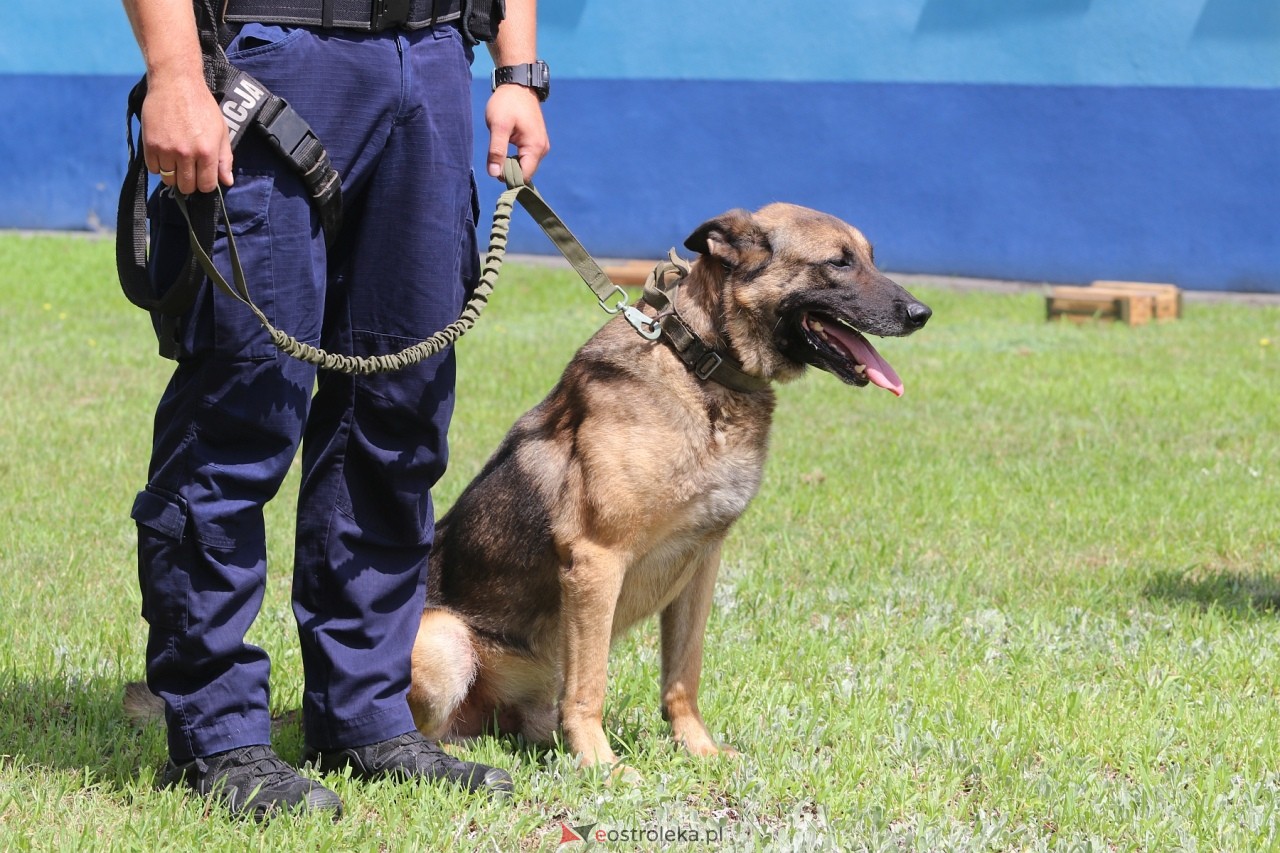Święto Policji 2024 w Ostrołęce - piknik rodzinny [15.07.2024] - zdjęcie #80 - eOstroleka.pl