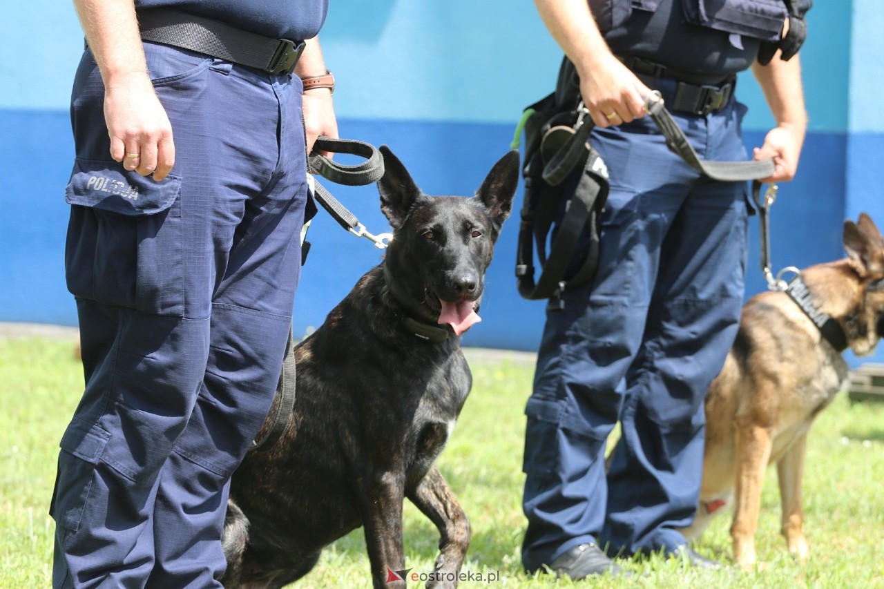 Święto Policji 2024 w Ostrołęce - piknik rodzinny [15.07.2024] - zdjęcie #79 - eOstroleka.pl