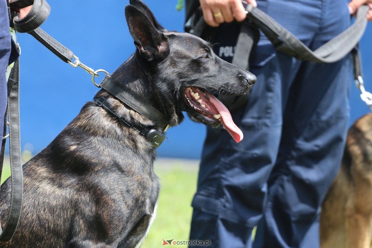 Święto Policji 2024 w Ostrołęce - piknik rodzinny [15.07.2024] - zdjęcie #77 - eOstroleka.pl