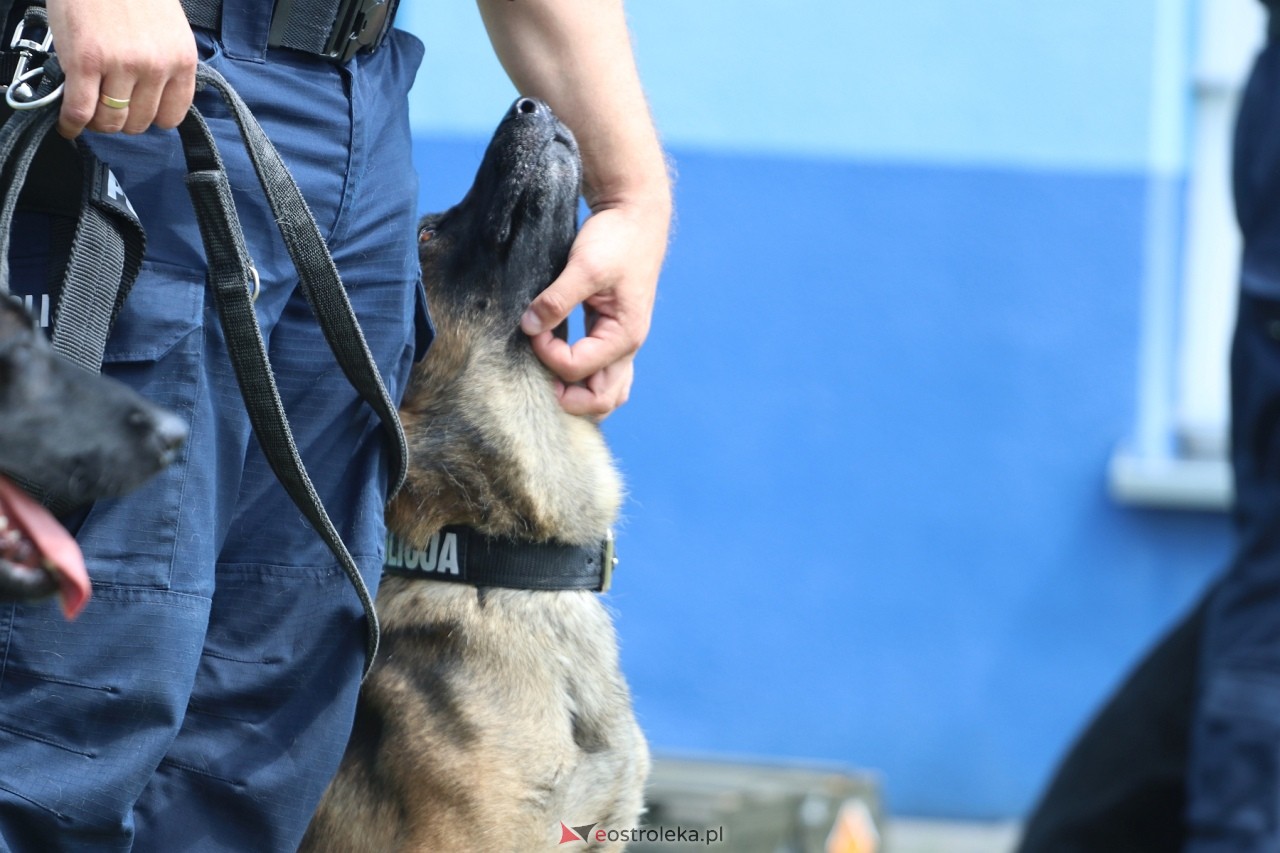 Święto Policji 2024 w Ostrołęce - piknik rodzinny [15.07.2024] - zdjęcie #75 - eOstroleka.pl