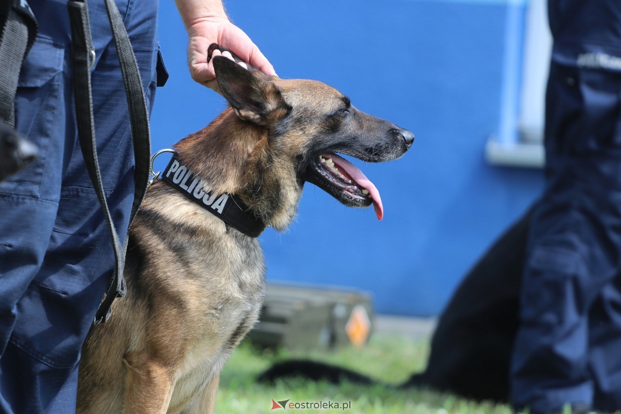 Święto Policji 2024 w Ostrołęce - piknik rodzinny [15.07.2024] - zdjęcie #74 - eOstroleka.pl