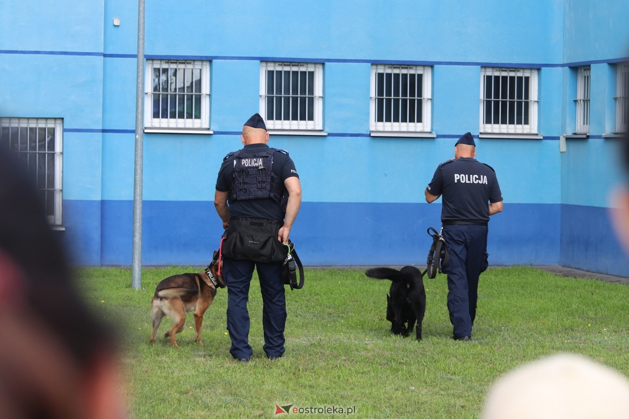 Święto Policji 2024 w Ostrołęce - piknik rodzinny [15.07.2024] - zdjęcie #72 - eOstroleka.pl