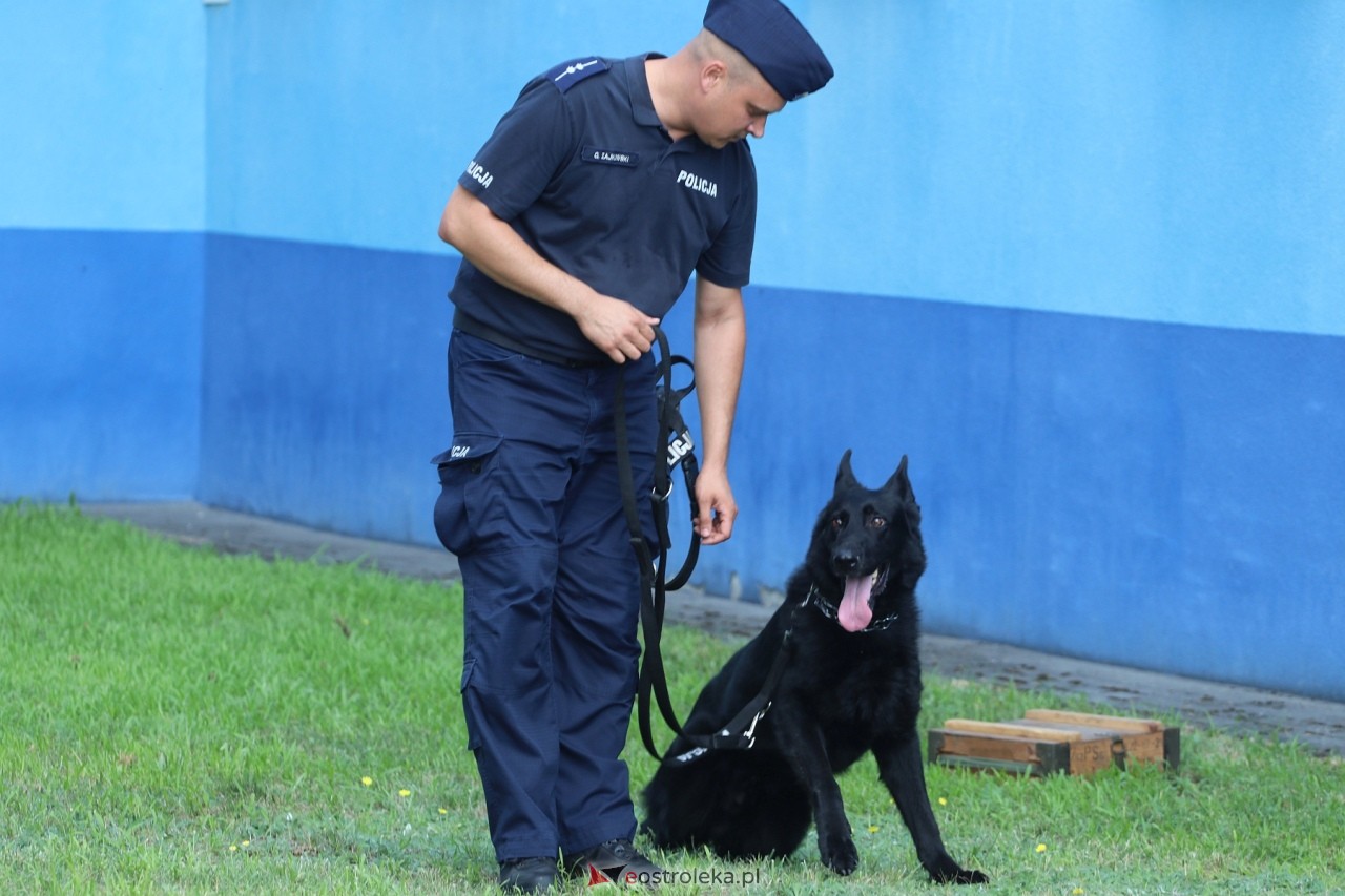 Święto Policji 2024 w Ostrołęce - piknik rodzinny [15.07.2024] - zdjęcie #67 - eOstroleka.pl