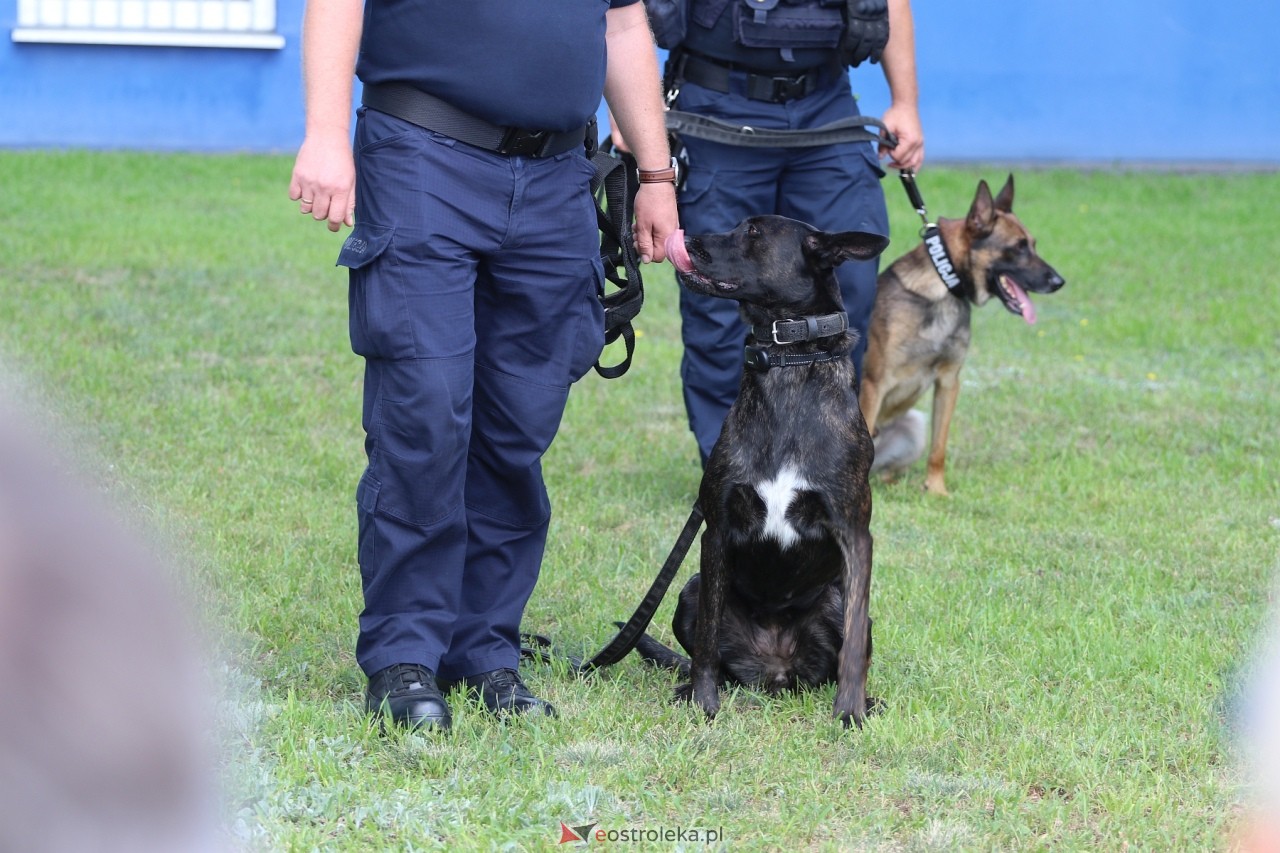 Święto Policji 2024 w Ostrołęce - piknik rodzinny [15.07.2024] - zdjęcie #66 - eOstroleka.pl