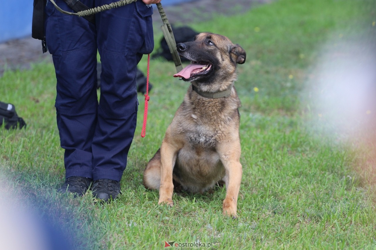 Święto Policji 2024 w Ostrołęce - piknik rodzinny [15.07.2024] - zdjęcie #63 - eOstroleka.pl