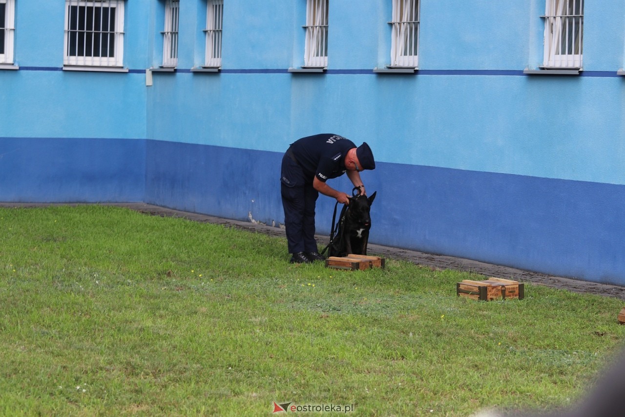 Święto Policji 2024 w Ostrołęce - piknik rodzinny [15.07.2024] - zdjęcie #55 - eOstroleka.pl
