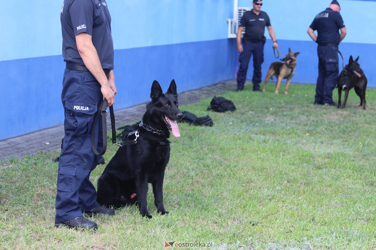 Święto Policji 2024 w Ostrołęce - piknik rodzinny [15.07.2024] - zdjęcie #54 - eOstroleka.pl
