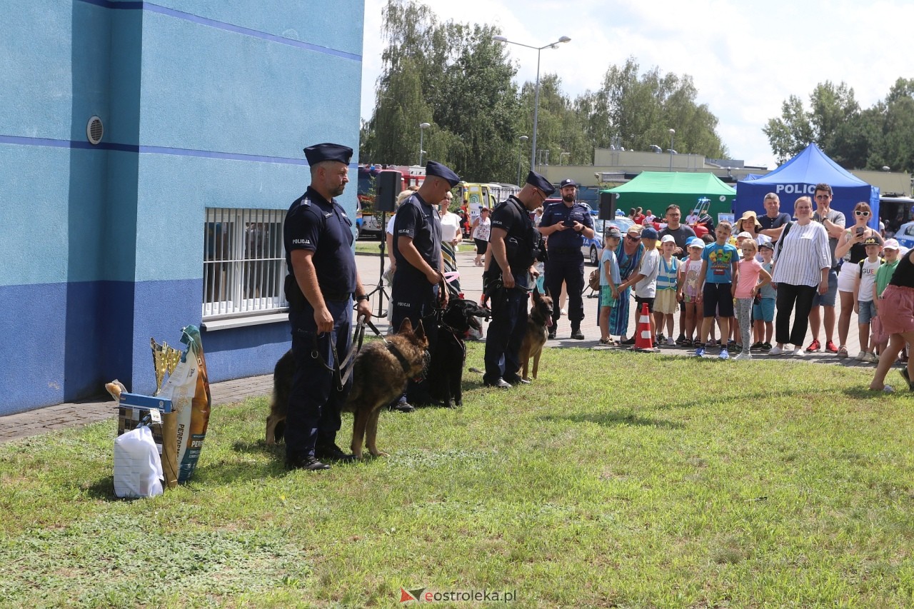 Pies Idan odszedł na emeryturę [15.07.2024] - zdjęcie #17 - eOstroleka.pl