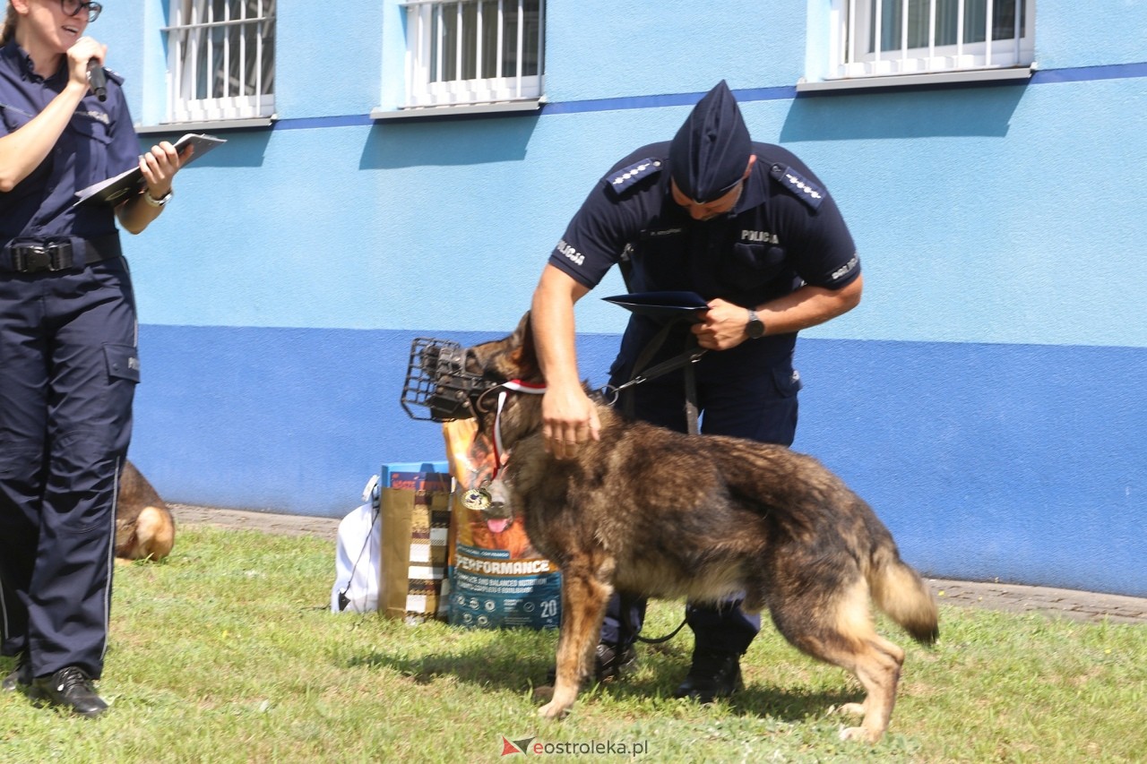 Pies Idan odszedł na emeryturę [15.07.2024] - zdjęcie #12 - eOstroleka.pl