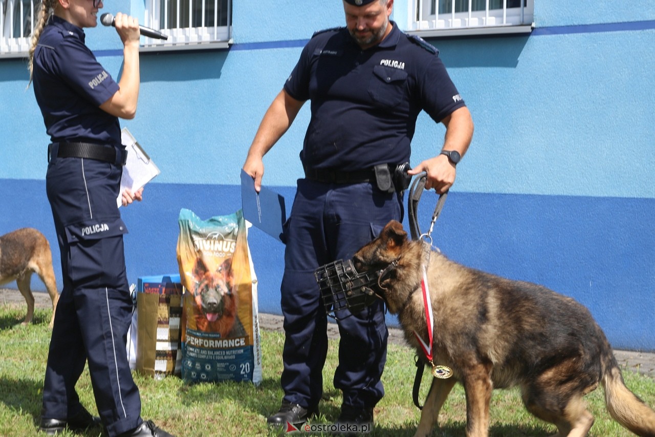 Pies Idan odszedł na emeryturę [15.07.2024] - zdjęcie #10 - eOstroleka.pl