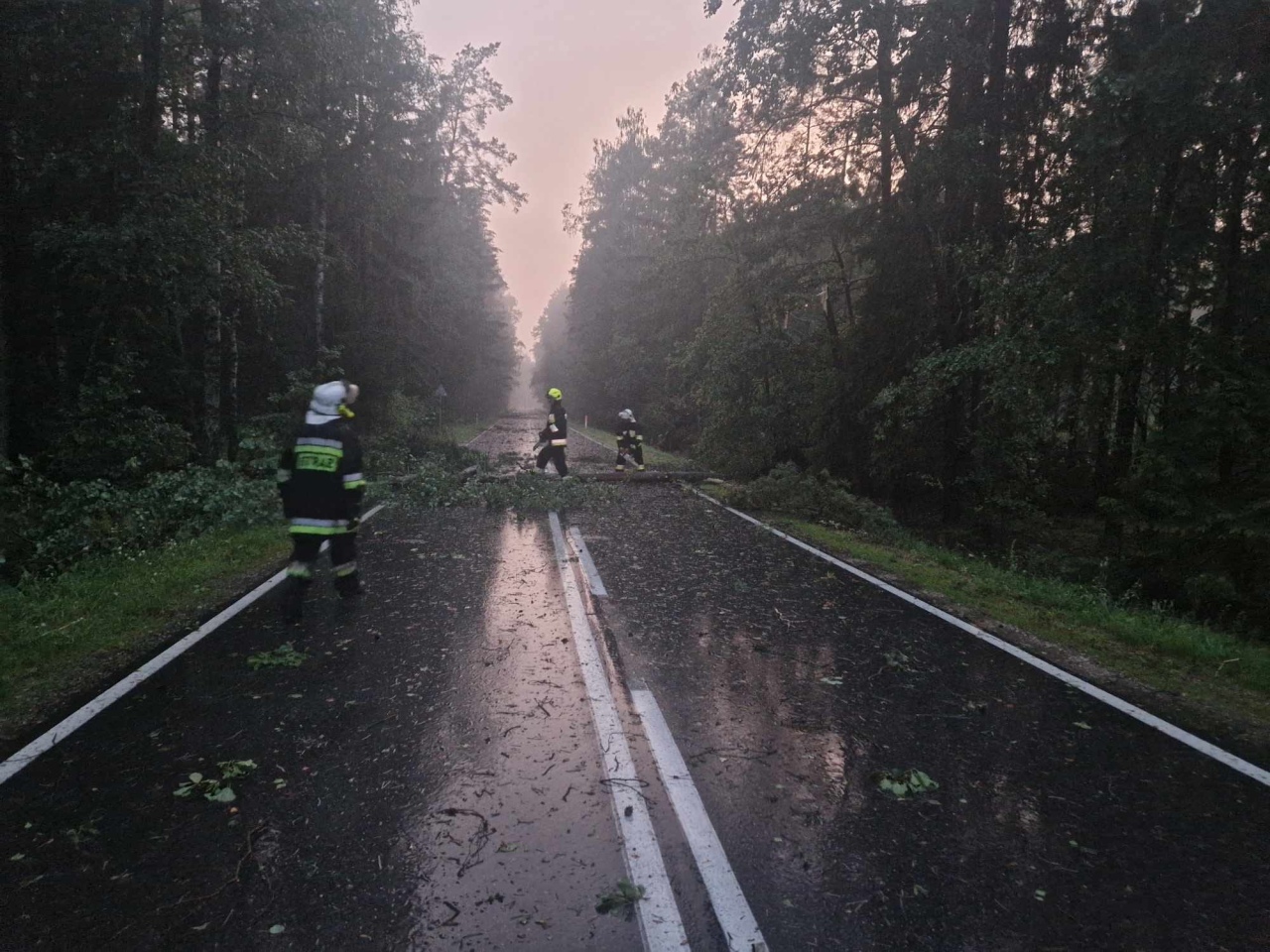 Usuwanie skutków nawałnicy w Czarni [17.07.2024] - zdjęcie #17 - eOstroleka.pl