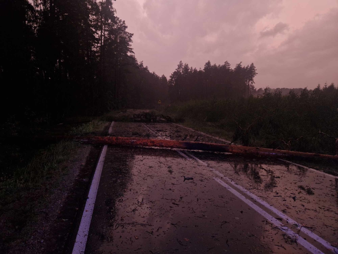 Usuwanie skutków nawałnicy w Czarni [17.07.2024] - zdjęcie #15 - eOstroleka.pl