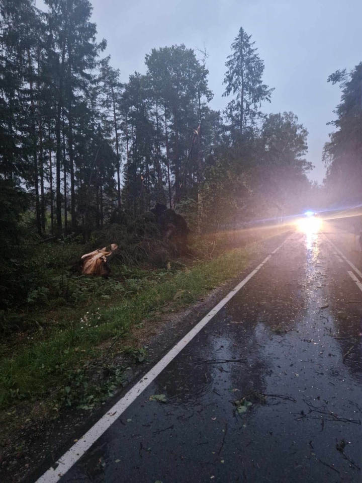 Usuwanie skutków nawałnicy w Czarni [17.07.2024] - zdjęcie #14 - eOstroleka.pl