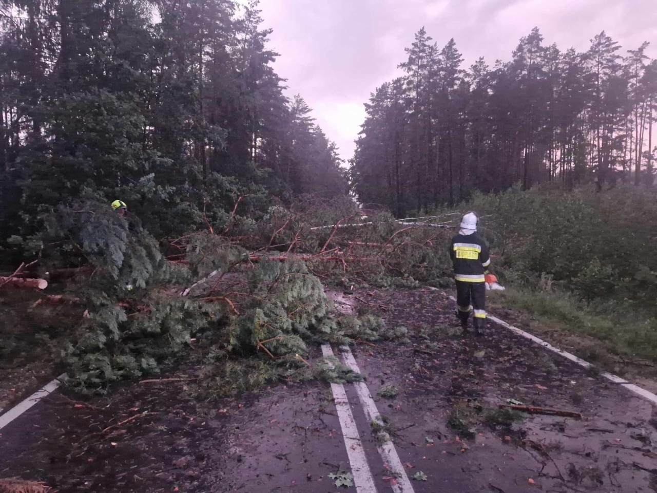 Usuwanie skutków nawałnicy w Czarni [17.07.2024] - zdjęcie #12 - eOstroleka.pl
