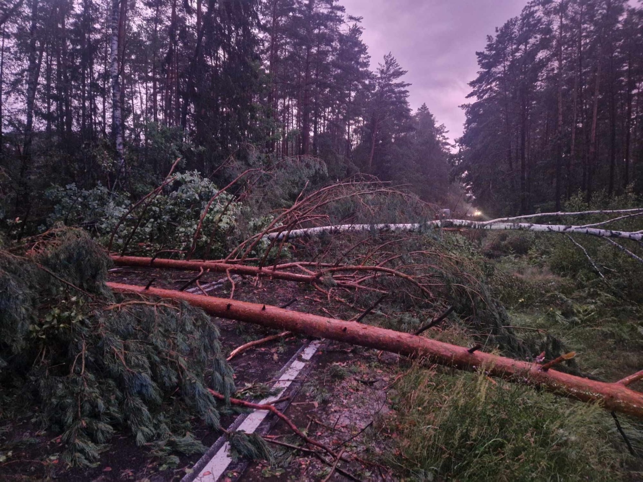 Usuwanie skutków nawałnicy w Czarni [17.07.2024] - zdjęcie #11 - eOstroleka.pl