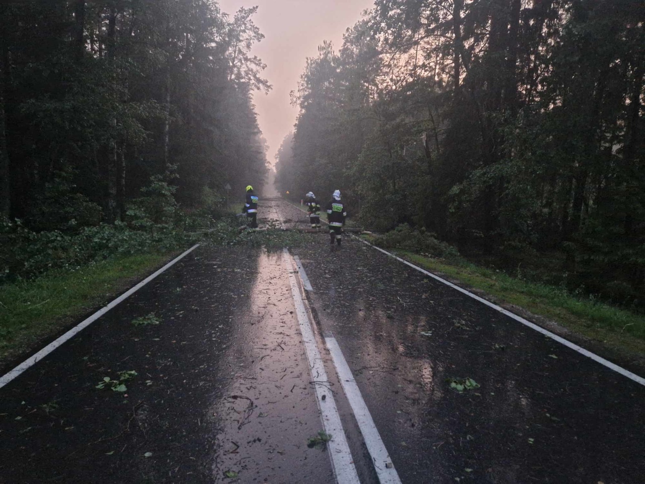 Usuwanie skutków nawałnicy w Czarni [17.07.2024] - zdjęcie #10 - eOstroleka.pl